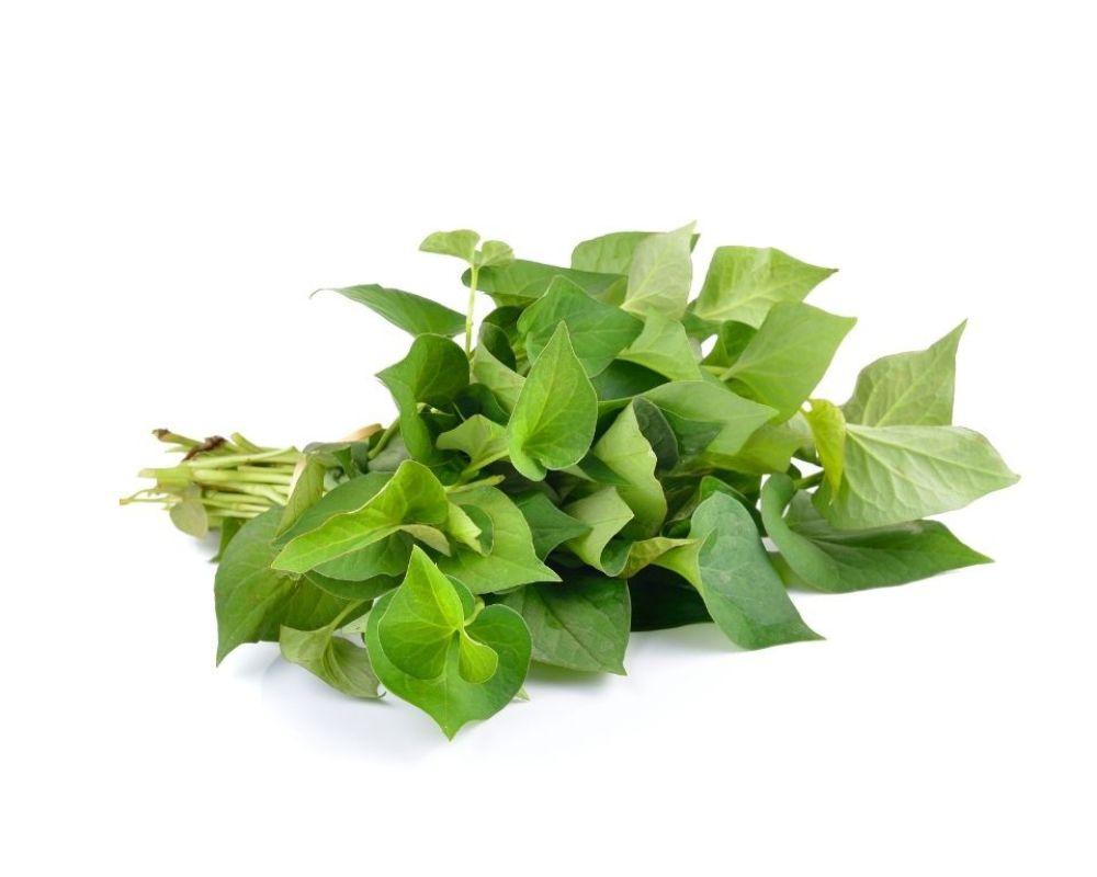 Cách hết mụn cấp tốc bằng diếp cá