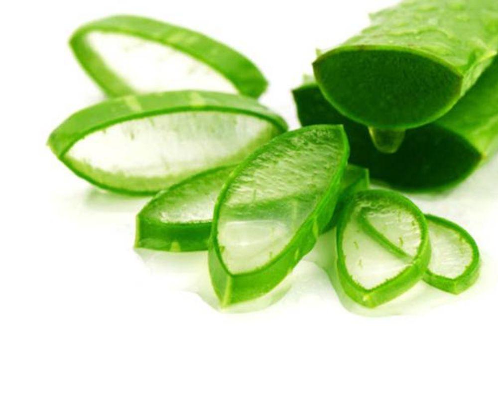 Cách giảm mụn bằng nha đam