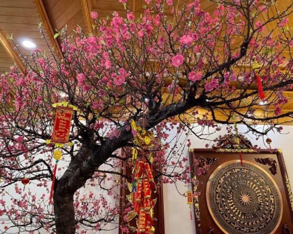 Cây đào là biểu tượng của mùa xuân