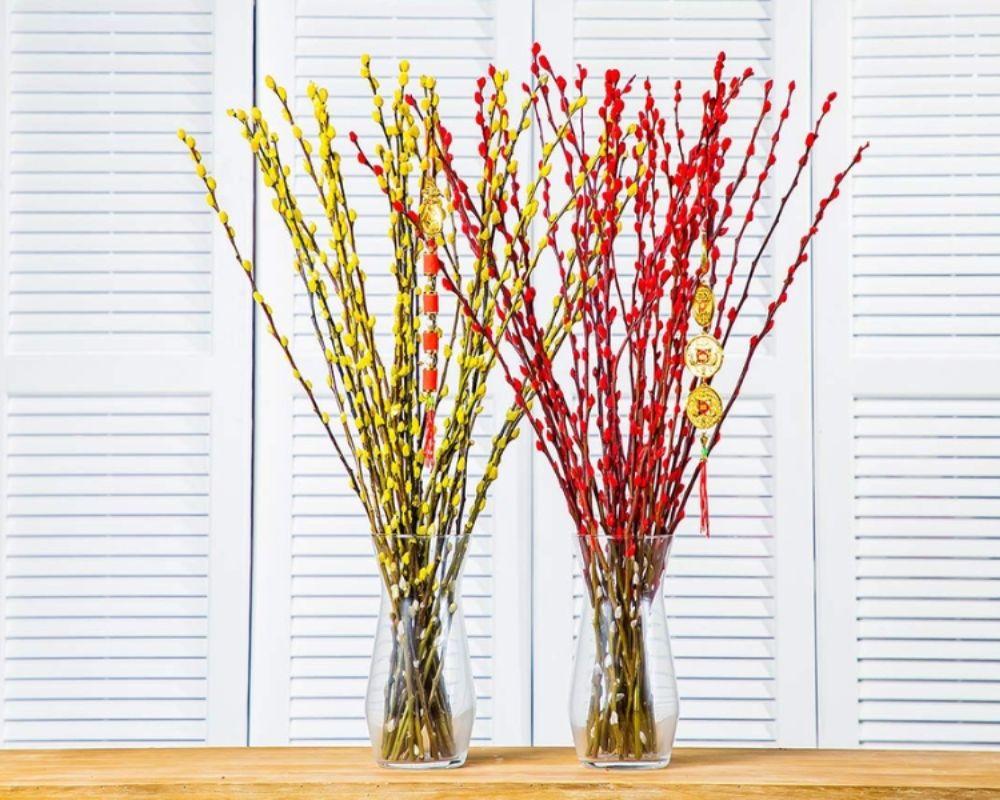 Giới thiệu nụ tầm xuân và ý nghĩa