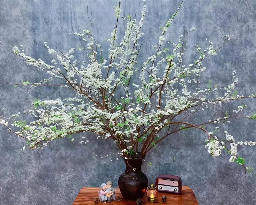 Những bông tuyết trên cành mai