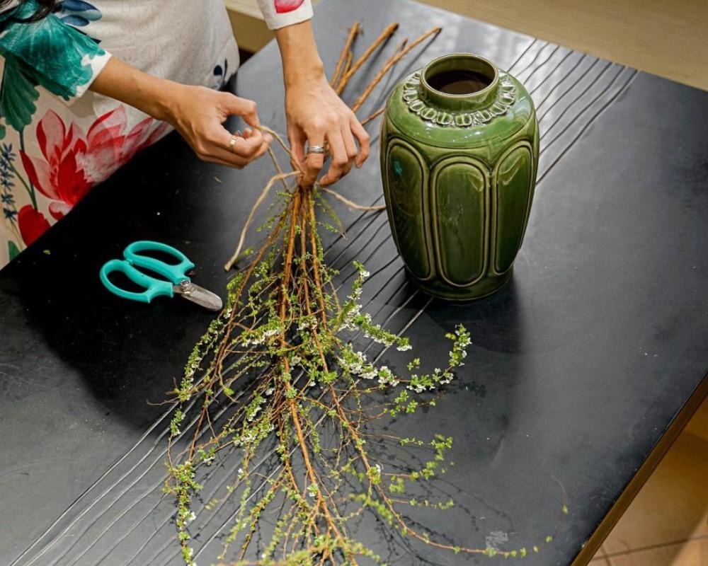 Tuyết mai nở rộ vào dịp Tết