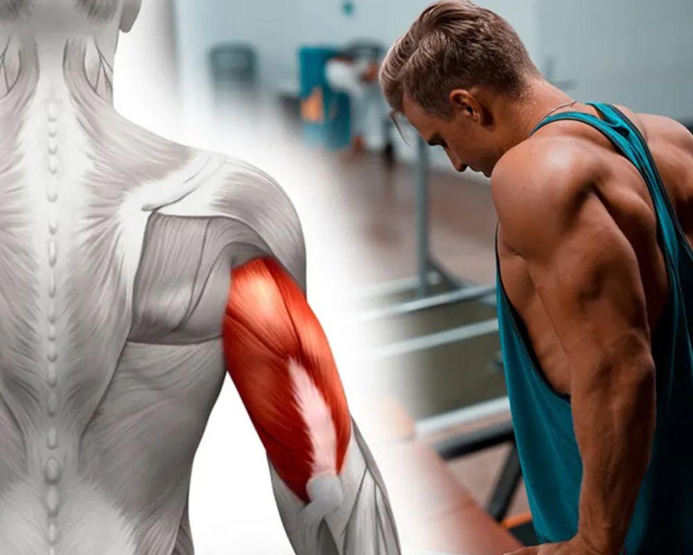 Phân bổ bài tập đều cho các nhóm cơ