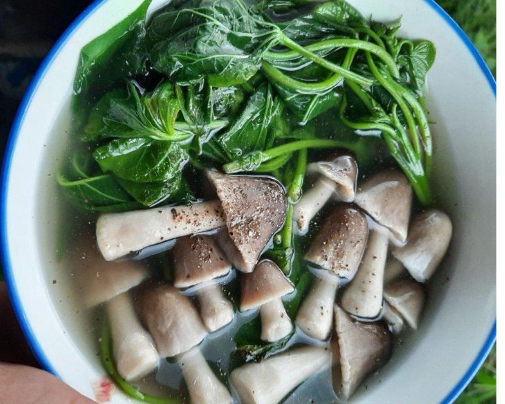 Canh rau lang nấu nấm rơm