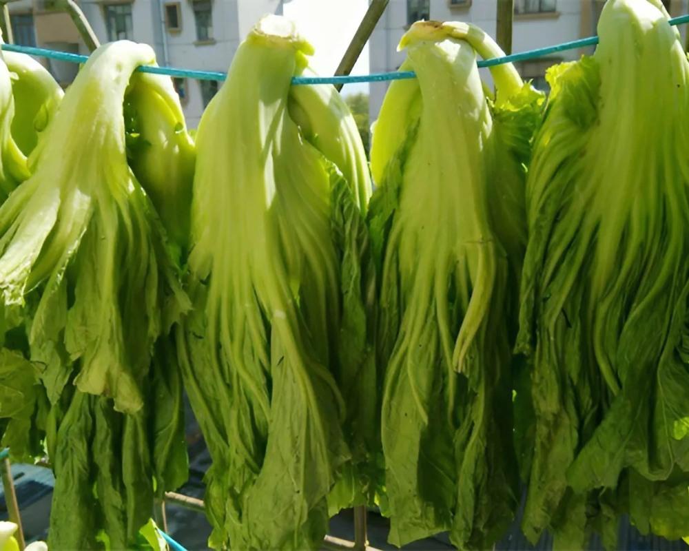 Phơi cải trước khi muối