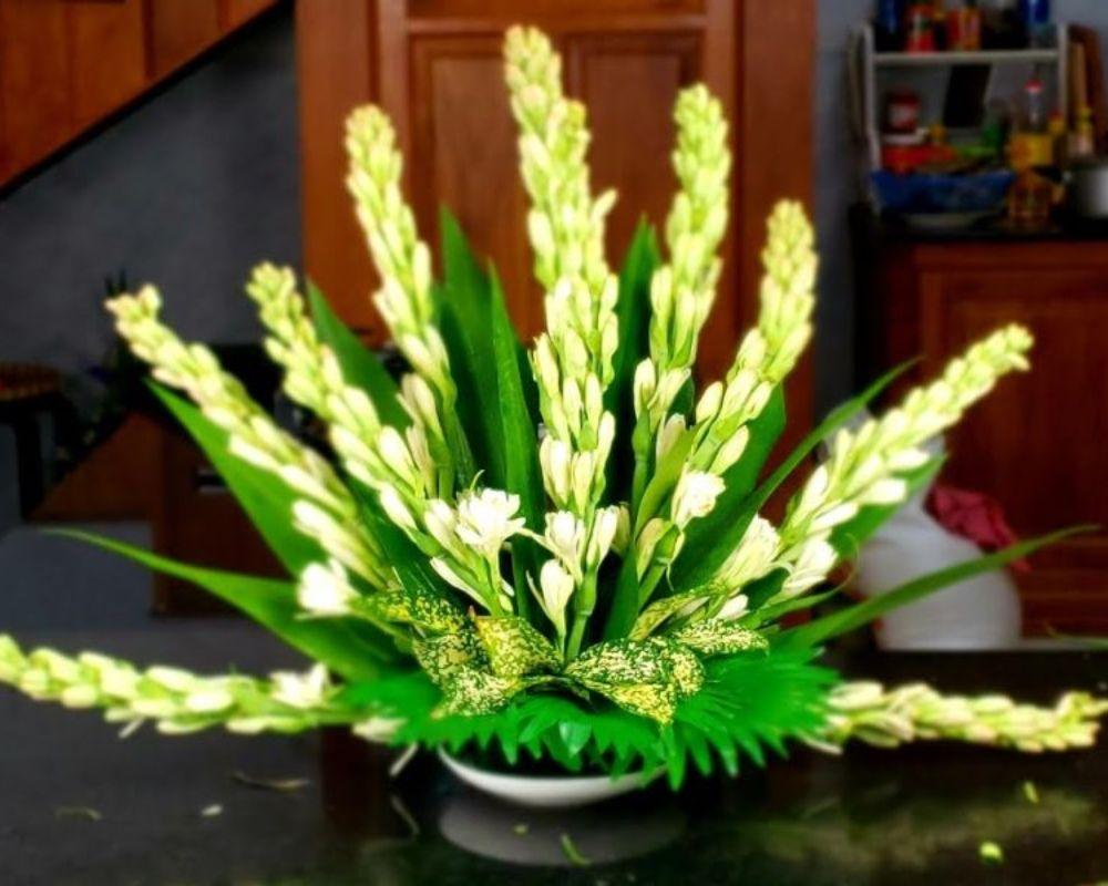 Hoa huệ trắng biểu trưng cho sự tinh khiết và vẻ đẹp thanh thoát