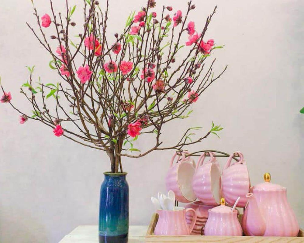 Hoa đào là biểu tượng của mùa xuân ở miền Bắc