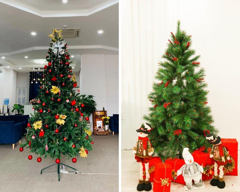 Ở Việt Nam thường mua cây thông Noel giả để trang trí